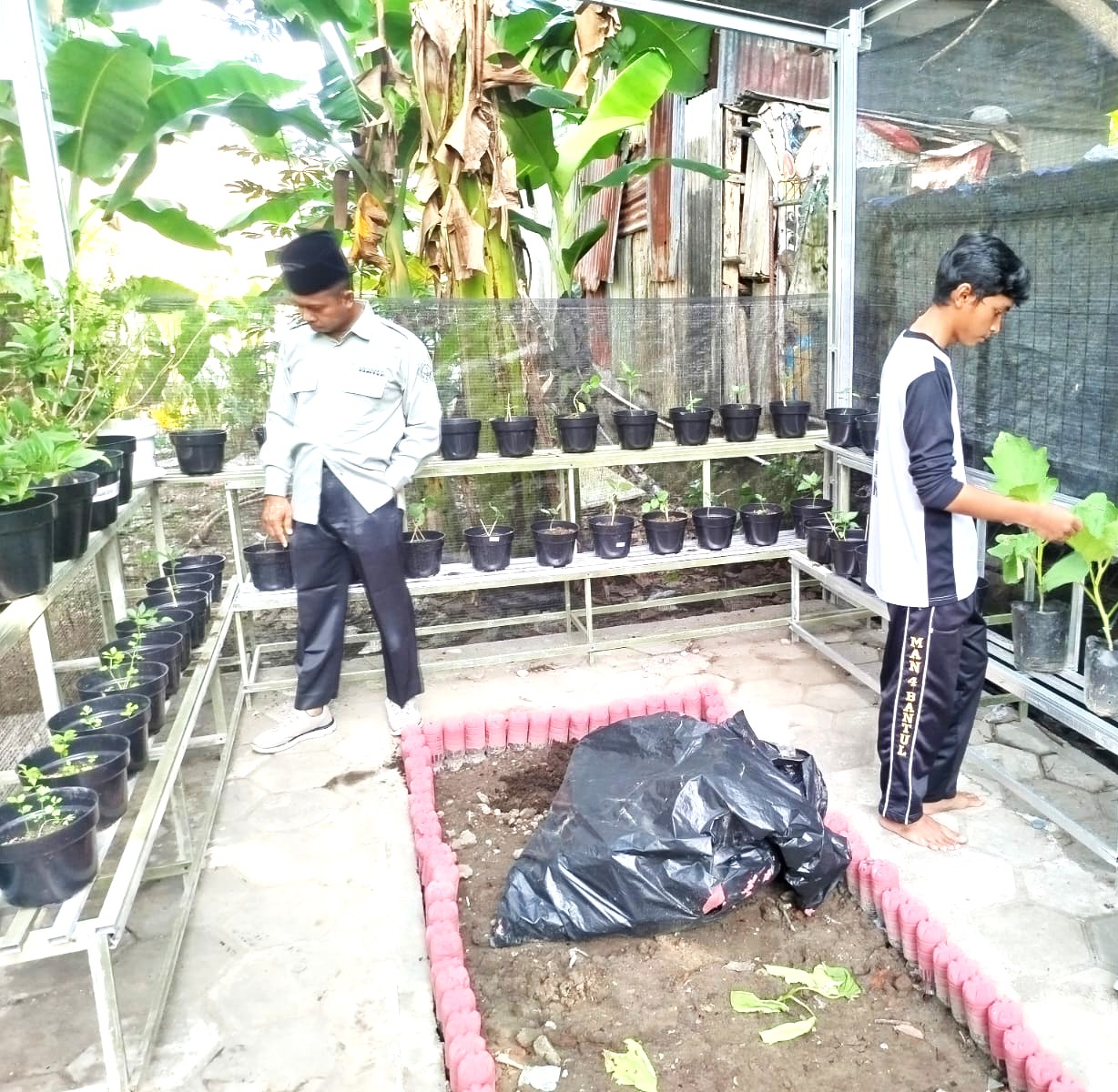 Wujudkan Madrasah Hijau, Kepala MAN 4 Bantul Kawal Pembangunan Green House 