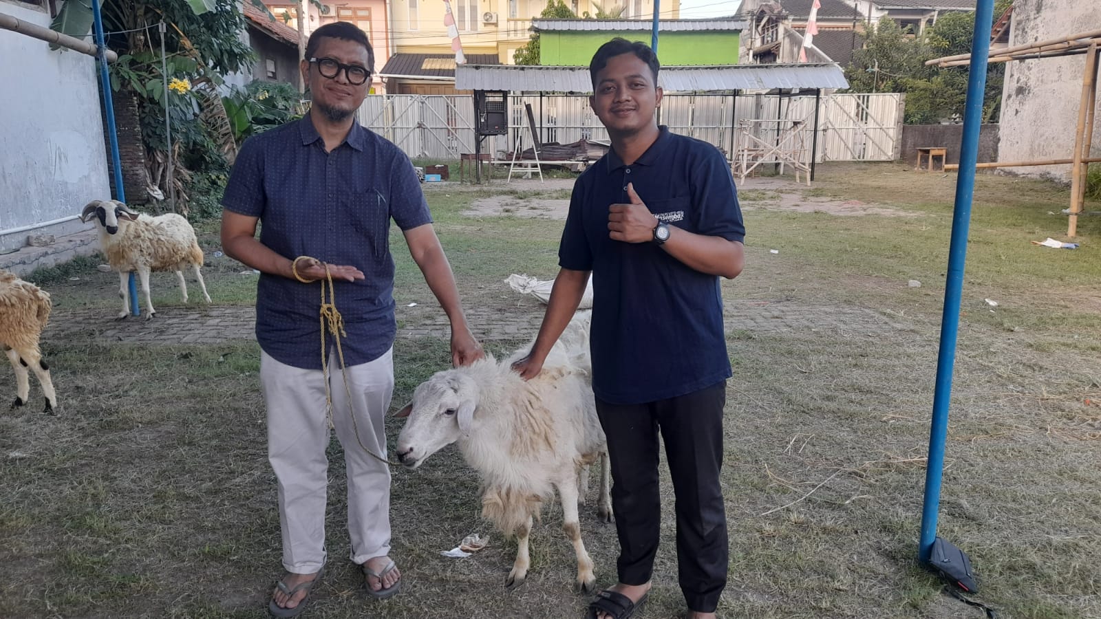 MTsN 9 Bantul Serahkan Hewan Kurban kepada Masjid Al Muhibbah