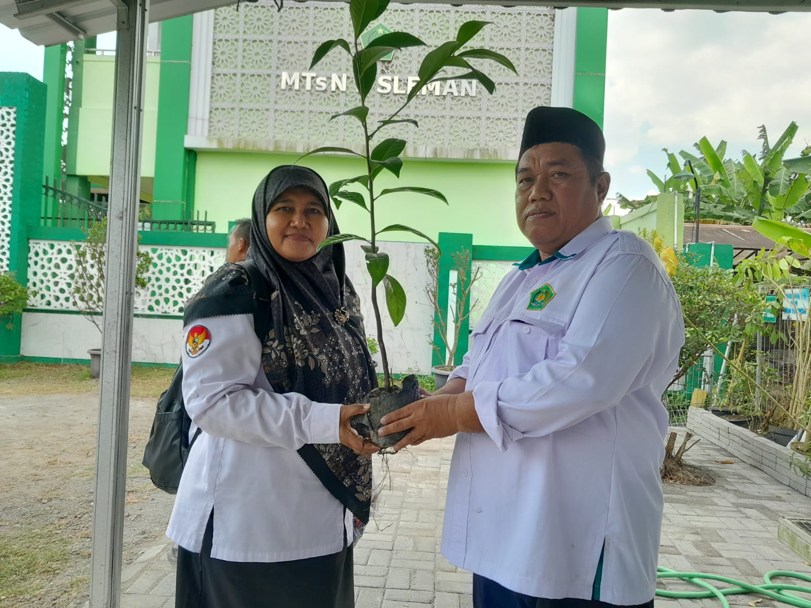 Kepala MTsN 9 Bantul Terima Bibit Black Sapote dari MTsN 1 Sleman untuk Dukung Program Adiwiyata