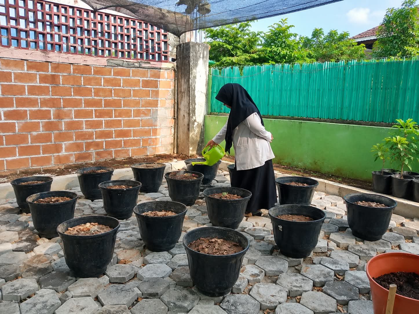 Guru MTs N 6 Bantul Cek Lahan Penanaman Bibit Sayur 