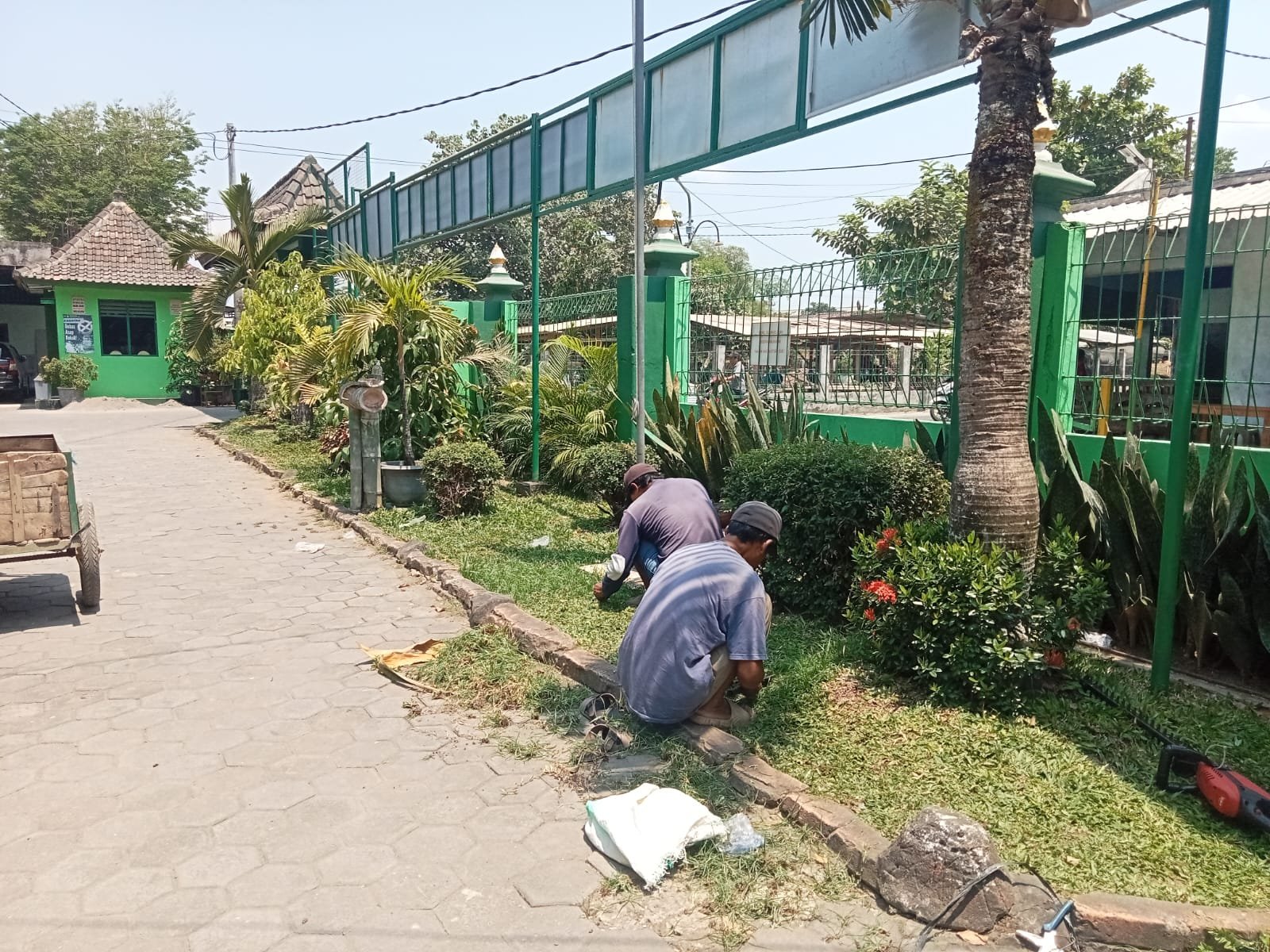 Bukan Sekadar Mempercantik, MTsN 6 Bantul Rawat Taman untuk Wujudkan Madrasah Hijau dan Nyaman