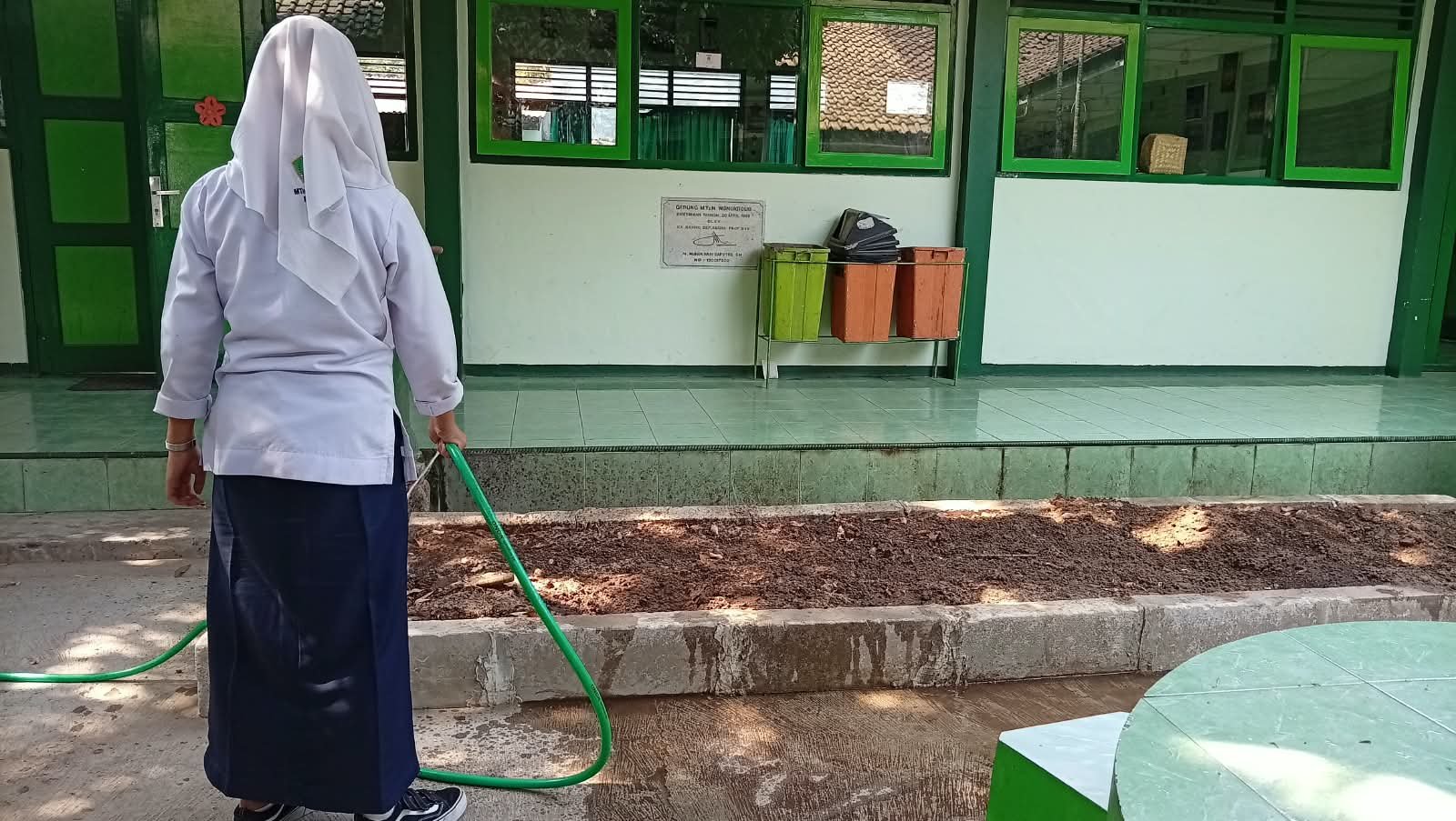 Siswa Kelas IX D MTs N 6 Bantul Peduli Lingkungan, Ikut Menyirami Bibit Sayur di Depan Kelas