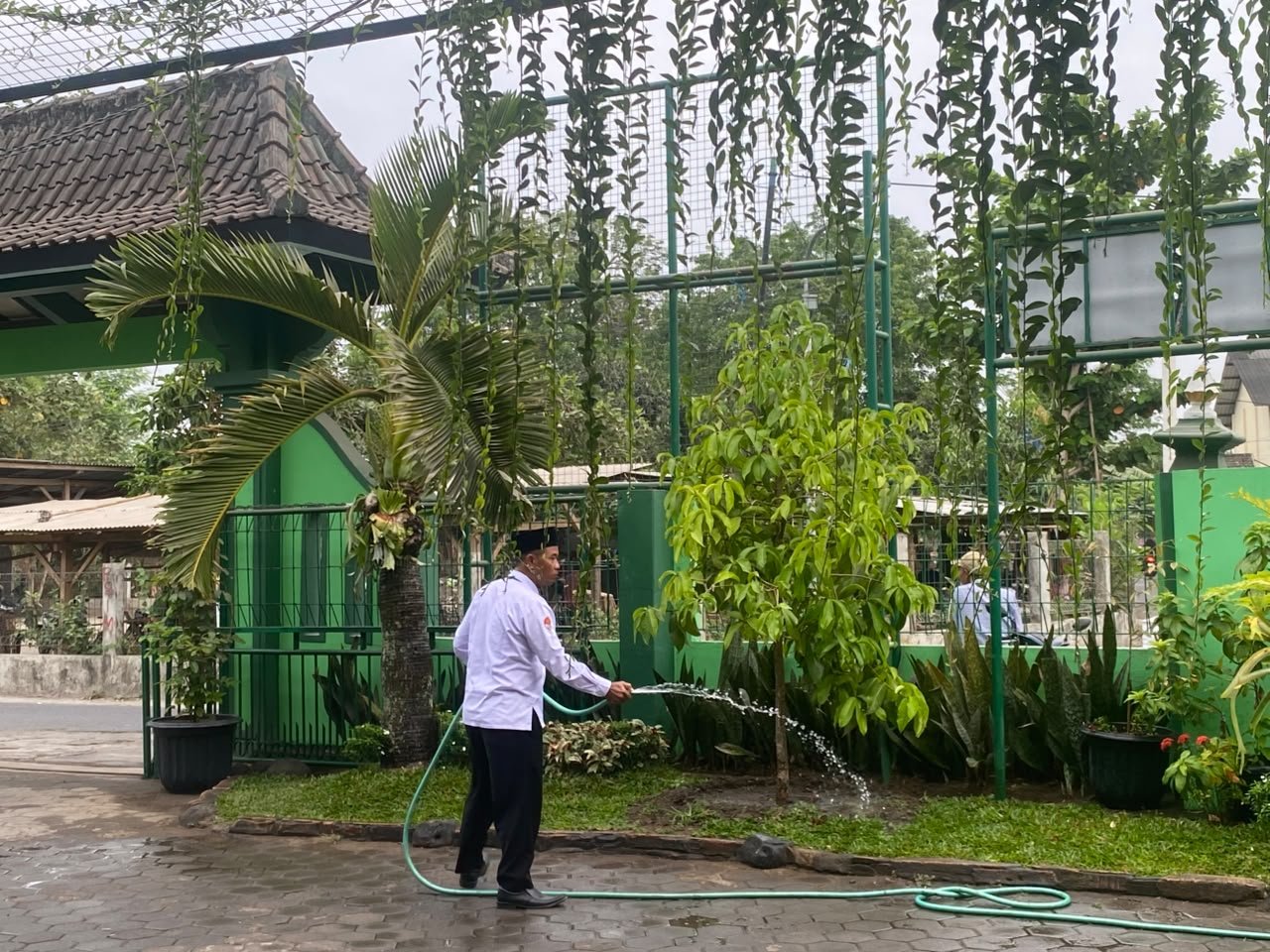 Wujudkan Madrasah Adiwiyata, Guru PJOK MTsN 6 Bantul Siram Tanaman Rutin